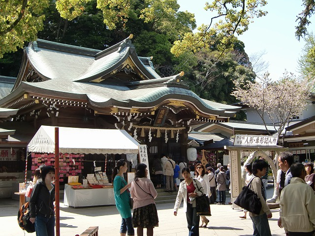 Kamakura11 Enoshima island during KCP culture trip