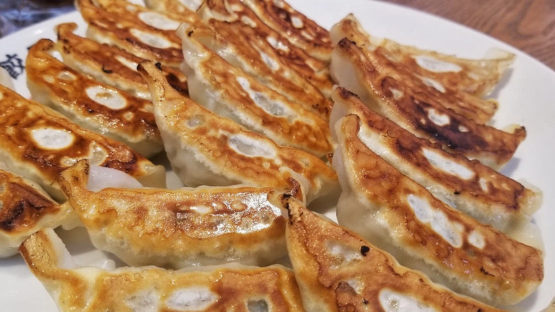 A plate of gyoza.