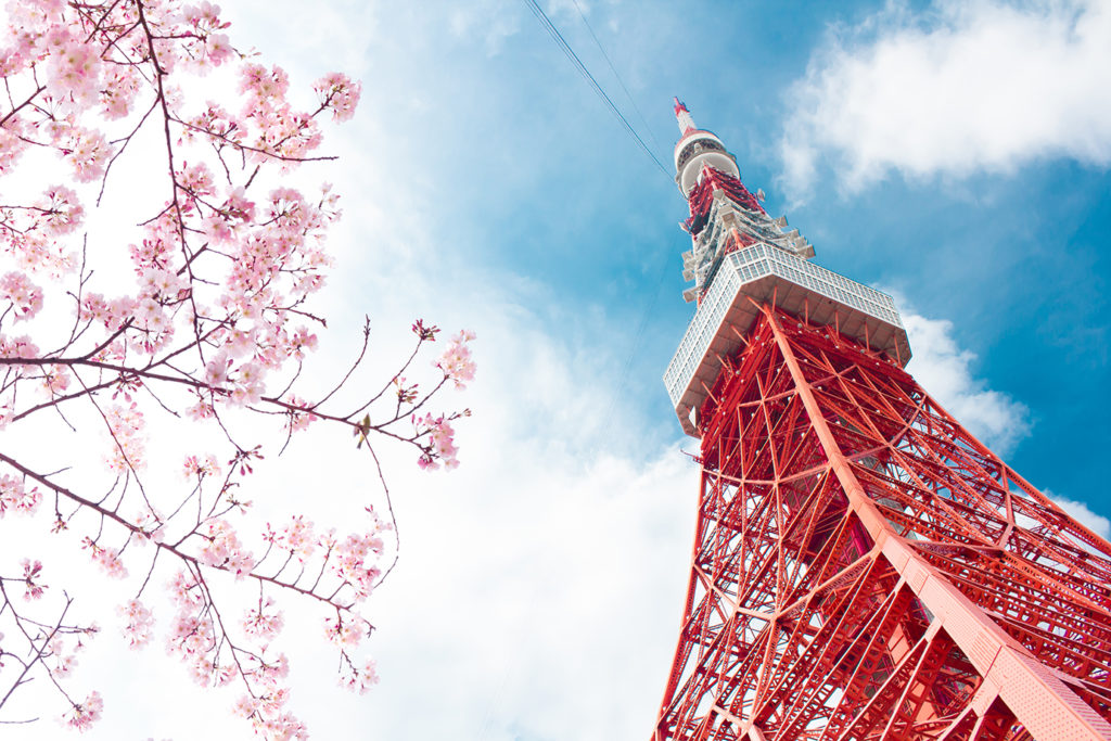 Tokyo Tower with Sakura