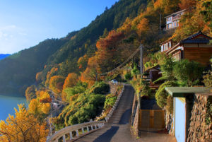 Okutama homes